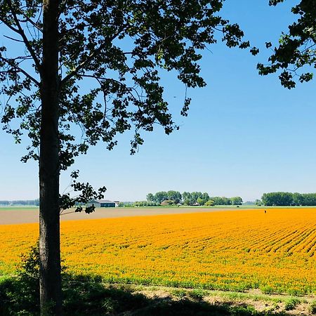 Slapen Bij De Zeeuwse Lala Bed & Breakfast IJzendijke Екстериор снимка